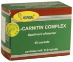 Hofigal L-Carnitin Complex, 40 capsule, Hofigal - minifarmonline