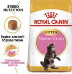 Royal Canin MAINE COON KITTEN - Maine Coon kölyök macska száraz táp