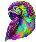 HARAHU Fa puzzle-Pappagallo/S KP21991