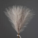 Valex Decor Ezüstös metál pampafű köteg, 20 szál, 45cm magas - Bézs (AF101-02)