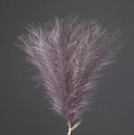Valex Decor Ezüstös metál pampafű köteg, 20 szál, 45cm magas - Lila (AF101-04)