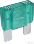 Herth+buss Elparts siguranta fuzibila HERTH+BUSS ELPARTS 50295543066 (50295543066)