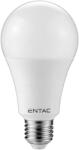 Entac LED Globe E27 18W CW 6400K Entac (A9205)