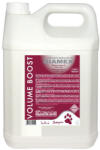 Laboratoire Diamex Diamex Sampon Volume Boost - 5 lt