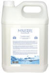 Laboratoire Diamex Diamex Balsam Mineral Range - 5 lt