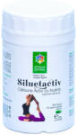 Steaua Divina Siluetactiv capsule 60 buc