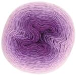 Scheepjes Whirl 558 - Illatos Viola