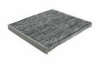 MTR Filtru Habitaclu Carbon Activ - DACIA SPRING EV (B6M1), L: 202 mm, H: 20 mm (12194486)