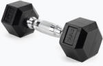 XTREXO Ganteră cauciucată XTREXO Hex HXD25 2.5 kg