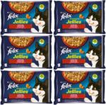 FELIX Sensations Gusturi Rurale in jeleu cu vita si pui 12x(4x85g)