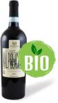 FIDORA Valpolicella DOC 2020 (Bio) - Azienda Fidora (Olaszország) (0, 75l)