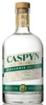  Caspyn Midsummer Dry Gin Cucumber and Dill 0, 7 40% (0, 7 L)