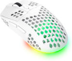 Trust GXT 929W Helox (25390) Mouse