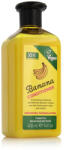 Xpel Marketing Banana Conditioner 400 ml