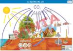Comenius A szénciklus (CM-1372)
