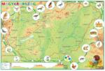 Stiefel Magyarország domborzata iskolai földrajzi falitérkép alsó tagozatosoknak és óvodásoknak (877181A-L)