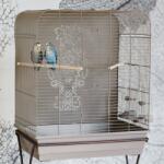 Inter-Zoo Pet Products Colivie păsări Doris Glamour 54 x 34 x 65 cm