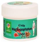 Steaua Divina Crema naturala cu Harpagophytum, 40g, Steaua Divina