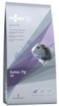 TROVET Guinea Pig