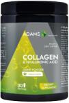 Adams Vision Collagen & Acid Hialuronic Vanilla, 600g, Adams