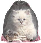 PASO Cicás tornazsák - Awesome (PP24AW-712)