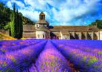 Nathan - Puzzle Abbaye Notre-Dame de Sénanque - 1 500 piese Puzzle