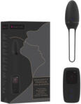 B Swish Premium - ou vibrator portabil cu acumulator, cu telecomandă radio (negru)