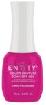 Entity Gel Pigmentat pentru Unghii - Entity Color Couture Soak Off Gel, nuanta "Cherry Blossoms", 15 ml