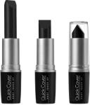 KISS Ősz hajszálakat és a lenövést elfedő rúzs (Quick Cover Gray Hair Touch Up Stick) 6 g Black