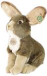 Rappa Jucărie de pluș Rappa Eco Friends - Iepuraș așezat, 30 cm (221390)