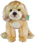 Rappa Jucărie de pluș Rappa Eco Friends - Labrador Retriever, așezat, 27 cm (203471)