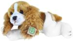 Rappa Jucărie de pluș Rappa Eco Friends - Câine Cavalier King Charles Spaniel culcat, 30 cm (203976)