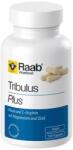 Raab Vitalfood Tribulus Plus [100 капсули]