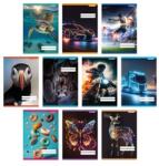 Patria Füzet A/5 vonalas PD 32lap School United 2024 21-32 vegyes, minta nem választható