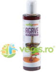 Springmarkt Sirop Agave Dark Ecologic/Bio 200ml