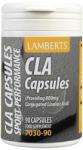 LAMBERTS CLA Sport Performance 1000mg 90 capace