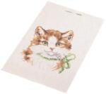 Fashion Keresztszemes hímzés szett, cérnával, tűvel, 14x20cm, 020736, cica