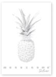 Pigna Monocromo Silver A4 38 lap, tűzött, vonalas füzet (P1111-1290) - bestbyte