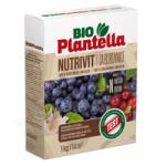 Plantella Ingrasamant BIO PLANTELLA NUTRIVIT pentru Afine - 1 kg (53399)
