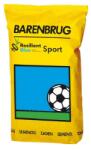 Barenbrug Seminte Gazon Premium RESILIENT BLUE, Barenbrug - 15 kg, cca. 500 mp, Rezistent la Seceta (PR-101749)