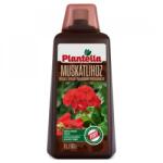 Plantella Ingrasamant lichid pentru muscate PLANTELLA - 1 Litru (50187)