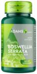 Adams Vision Extract de Tamaie 350mg, 30 capsule, Adams