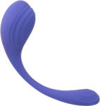 CalExotics Connect Kegel Exerciser Purple