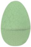 Raya Toys Ansamblu dinozaur - Ou, verde (502122433)