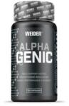 Weider Alphagenic Male Support Matrix 60 caps