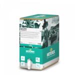 MOTOREX - Antigel M3.0 - 20L BIB - Bag in box, Ready to use