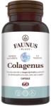 Faunus Plant Colagen tip 2 pentru articulatii, oase, piele si par Colagenus, 60 capsule, Faunus Plant