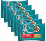 ONE Sterilcat turkey, peas, salmon & carrots in sauce 24x85 g