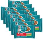 ONE Sterilcat turkey, peas, salmon & carrots in sauce 48x85 g