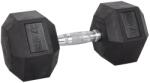 inSPORTline Gantera hexagonala inSPORTline 27.5 Kg (22093) - sportist